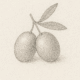 olives
